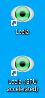 Leela 설치 완료