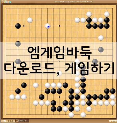 엠게임 바둑 다운로드